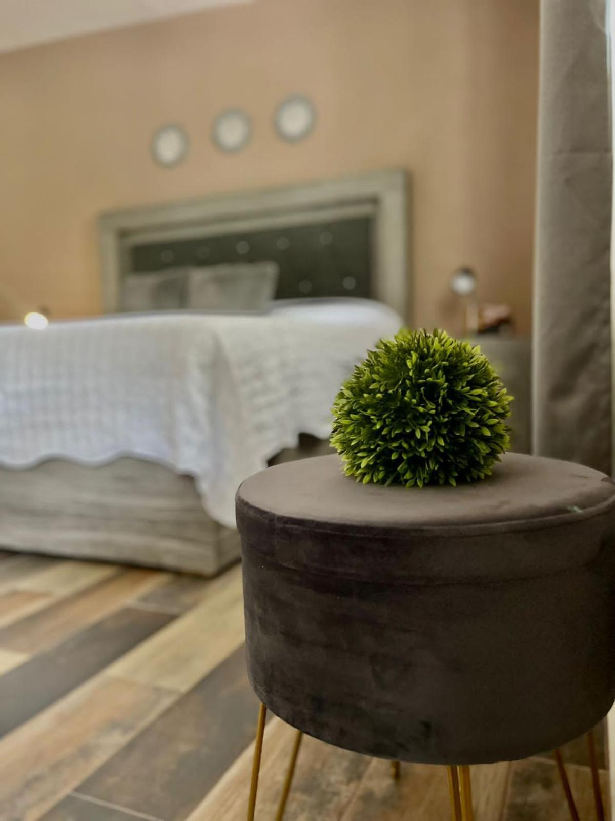 Cabanas, Suites Y Habitaciones Rancho San Jorge Bernal Ngoại thất bức ảnh