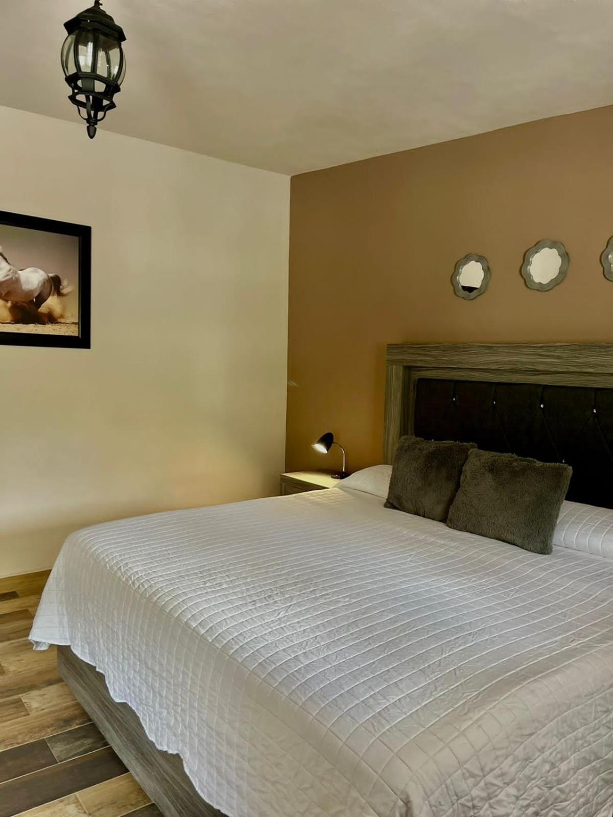 Cabanas, Suites Y Habitaciones Rancho San Jorge Bernal Ngoại thất bức ảnh
