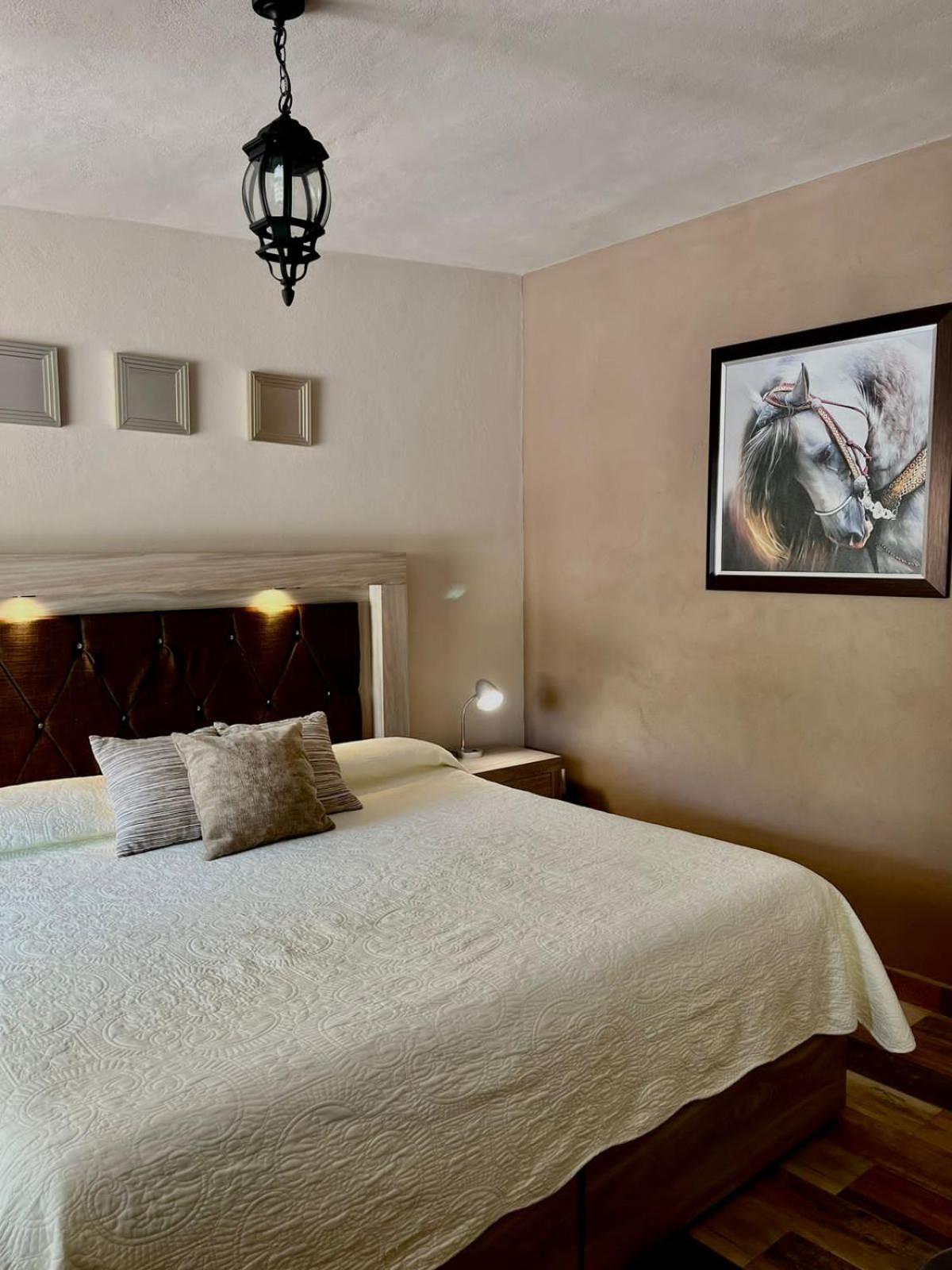 Cabanas, Suites Y Habitaciones Rancho San Jorge Bernal Ngoại thất bức ảnh