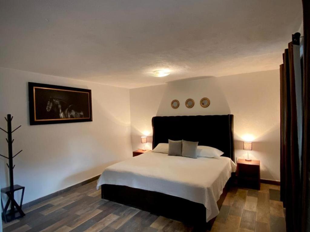 Cabanas, Suites Y Habitaciones Rancho San Jorge Bernal Ngoại thất bức ảnh